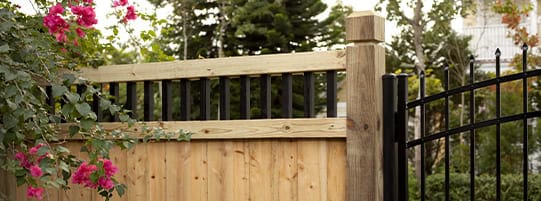 A wooden fence with vertical black metal bars on top is adjacent to a black metal gate. Pink flowers and green leaves hang over the fence on the left side. Trees and a house are visible in the background.