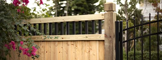 A wooden fence with vertical black metal bars stands next to a decorative black metal gate. Pink flowers and green leaves partially frame the left side of the image. Trees and part of a building are visible in the background.