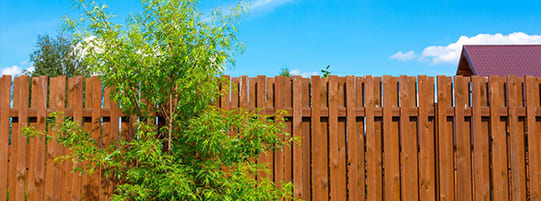 Determining The Best Fence Height for Your Property