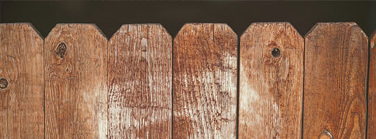 Pros and Cons of Pressure-Treated Wood for Your Fence