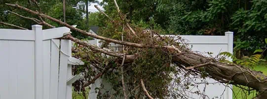 A white vinyl fence is broken and partially covered by a large tree branch that has fallen on it.