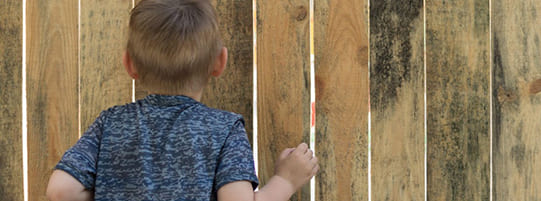 5 Ways Fences Can Protect Your Family