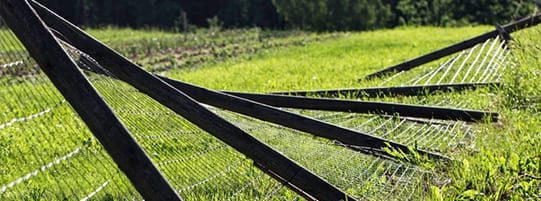 Hurricane Ian Damage or Destroy Your Fence? Mossy Oak Is Here to Help post