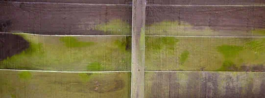 Our Top Tips For Preventing Water Stains On Wood Fences post