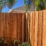 A wooden fence corner under a clear blue sky, surrounded by green palm trees and small shrubs in a residential backyard. A house roof is visible in the background.