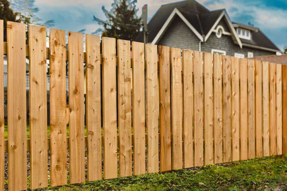 A wooden fence made of vertical planks stands in the foreground, with a grassy area beneath. In the background, a gray house with a triangular roof and white trim is visible against a blue sky.
