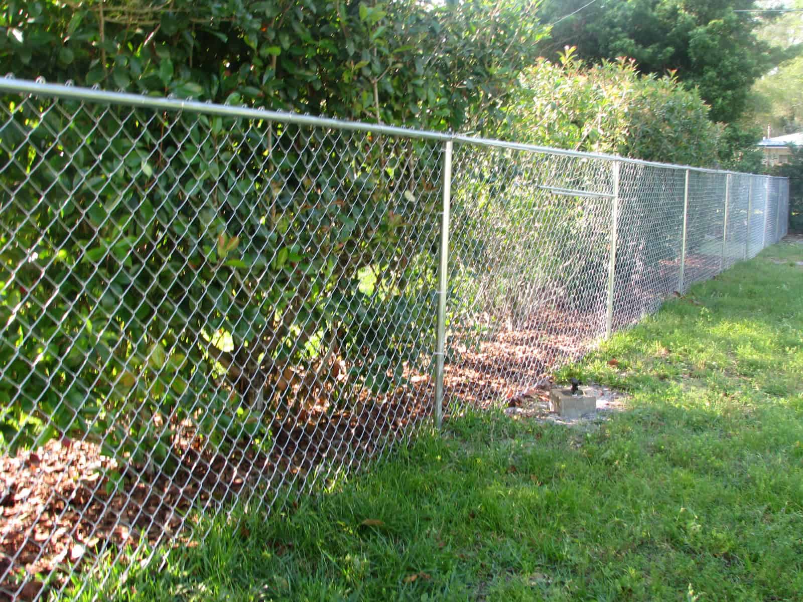 A chain-link fence runs alongside a grassy area with green leafy bushes on one side. The scene is peaceful, with sunlight casting shadows on the grass.