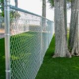A chain-link fence runs alongside a row of large trees on a neatly manicured lawn under a clear sky.