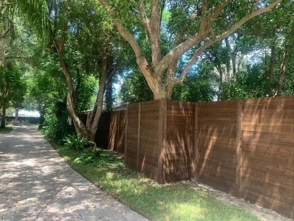 A tree-lined path with a brick walkway on the left and a tall wooden fence on the right. Sunlight filters through the leaves, casting dappled shadows on the fence and the ground.