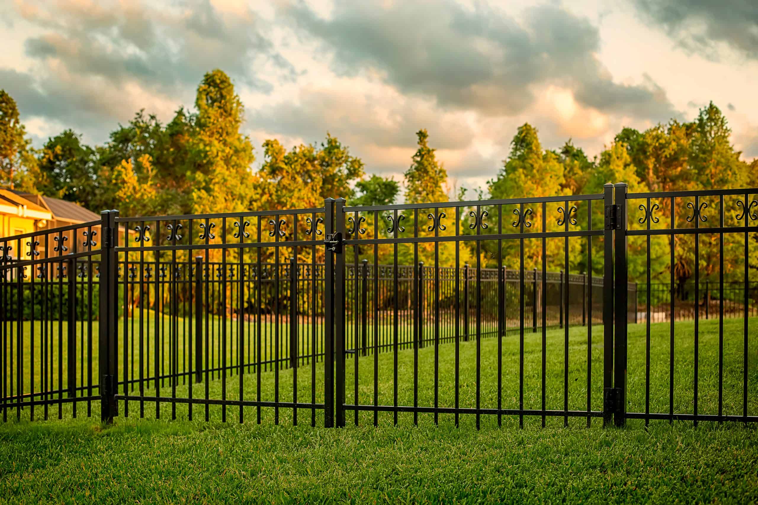 A black iron fence with intricate designs encloses a lush green lawn, showcasing expert fence installation. In the background, trees are illuminated by warm sunlight under a partly cloudy sky, creating a serene and picturesque scene.