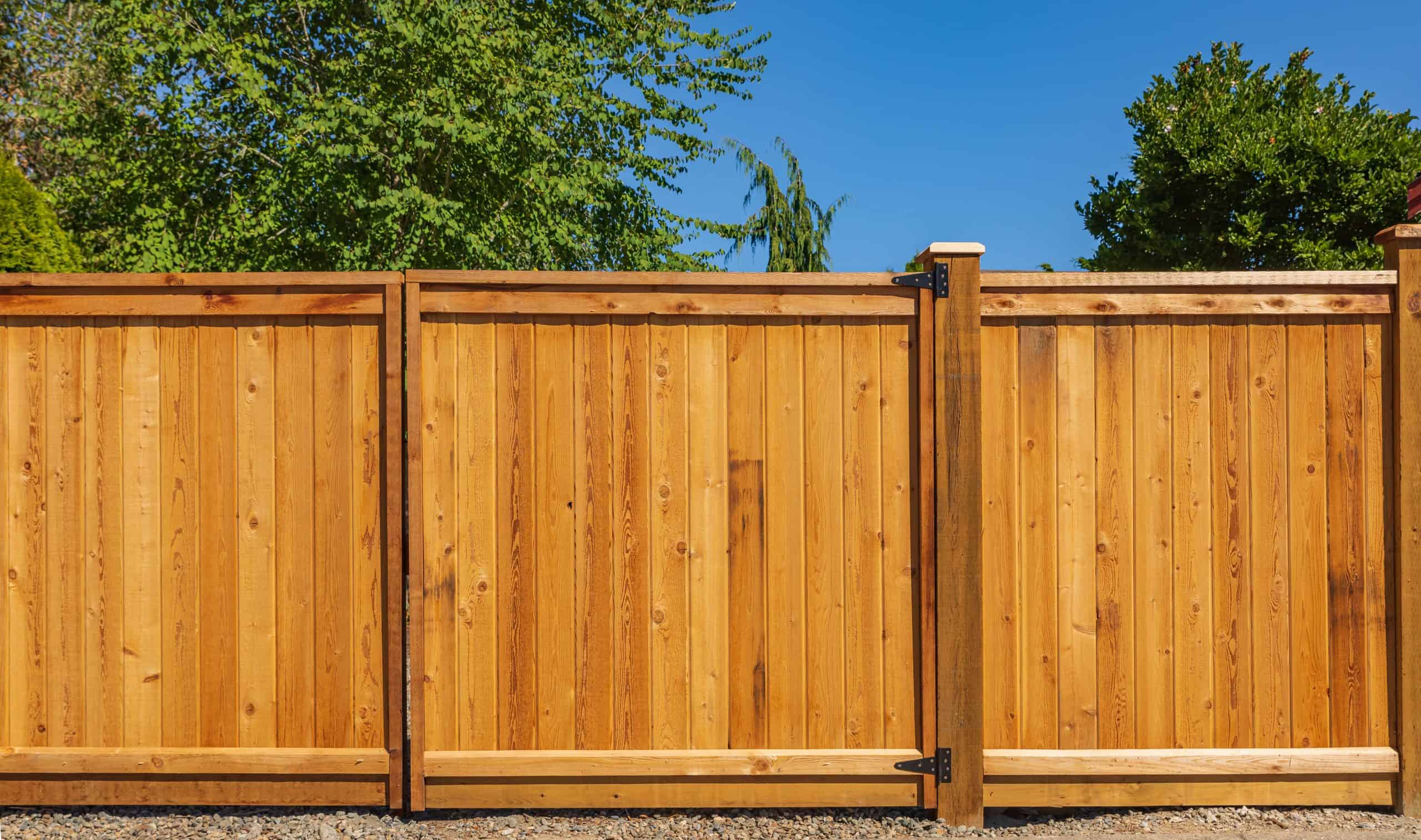 A wooden fence made of vertical planks stretches under a clear blue sky. Supported by sturdy wooden posts, the design complements the backyard gate installation seamlessly. Lush green leaves from nearby trees peek over the top, enhancing the natural charm of the setting.