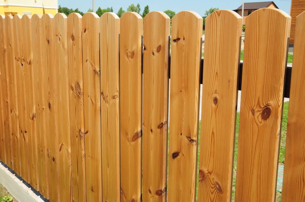A wooden fence made of vertical planks with visible knots and a natural finish. The fence stands against a backdrop of greenery and a clear blue sky.