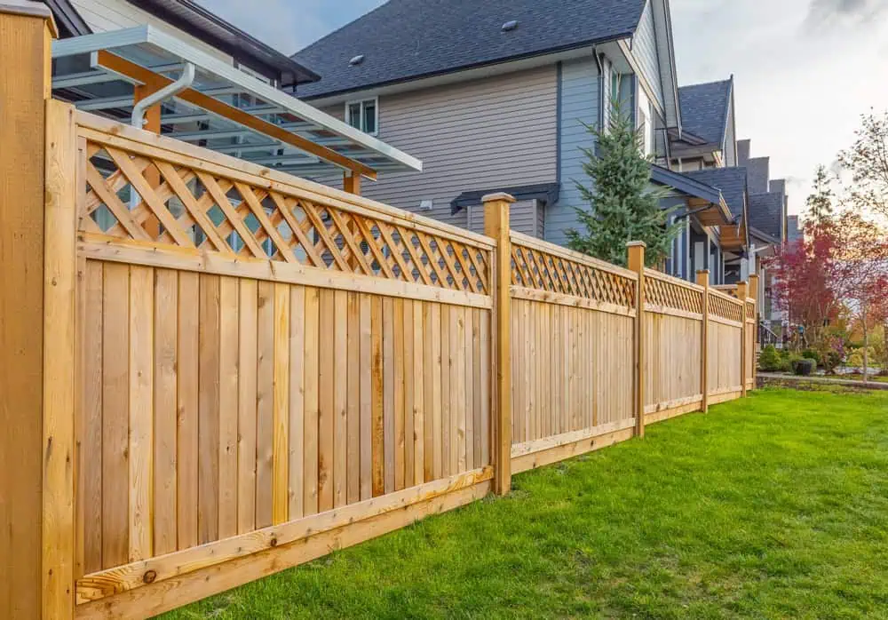 A wooden fence with lattice design on top runs alongside a grassy yard, adjacent to a row of modern suburban houses with sloped roofs and a covered patio. A tree with red leaves is visible in the background.