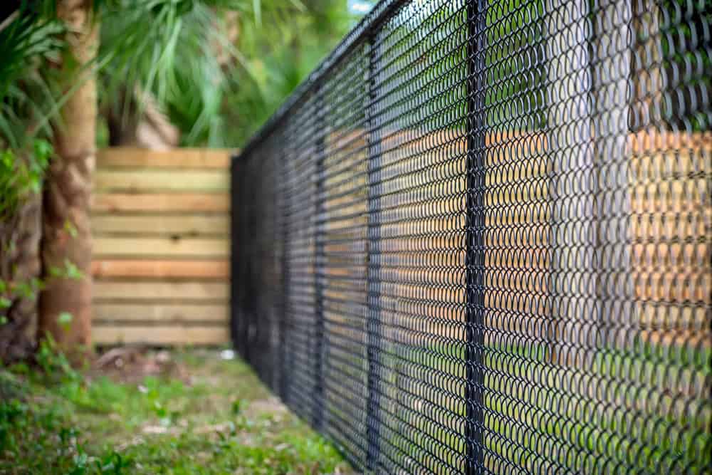 A black chain-link fence stretches diagonally across the image, separating a grassy area from a wooden fence and greenery in the background. The scene conveys a sense of separation and boundary within a natural setting.