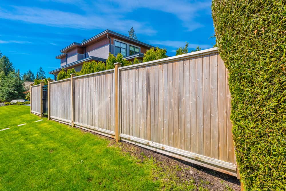 Wooden fence with vertical planks separates a lush green lawn from a modern two-story house with a balcony. Tall hedges are on one side under a clear blue sky.