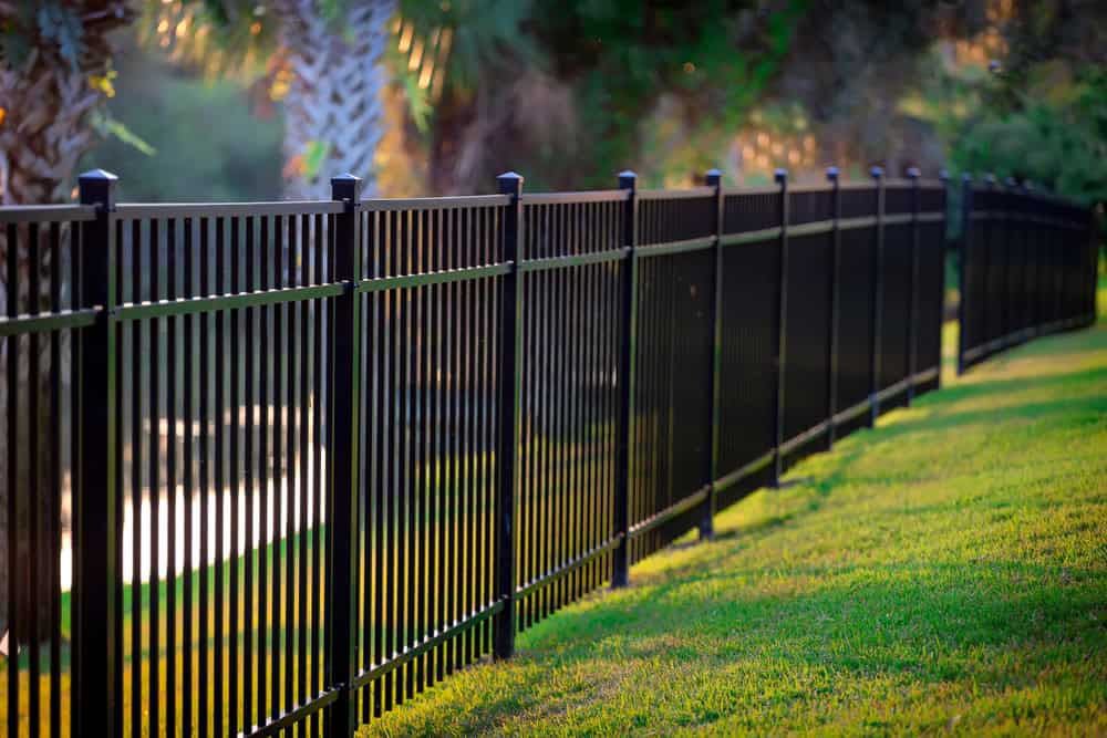 A long black metal fence runs alongside a lush green lawn, with sunlight streaming through trees in the background.