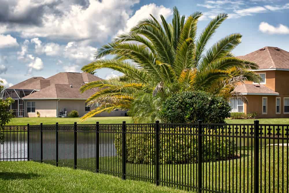 A large palm tree stands next to a black metal fence in a suburban neighborhood. Behind the tree, there are several brown houses with sloped roofs. The sky is partly cloudy, and a small body of water is visible in the background.