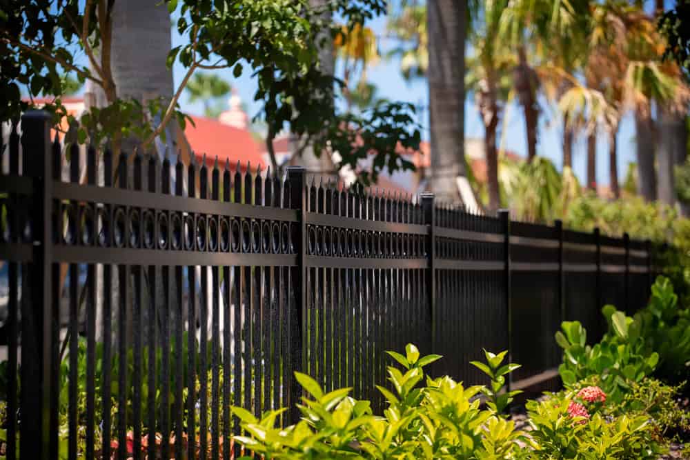 A black wrought iron fence with an ornamental design runs alongside a garden with lush green plants and palm trees. Red-roofed buildings are visible in the background under a clear blue sky.