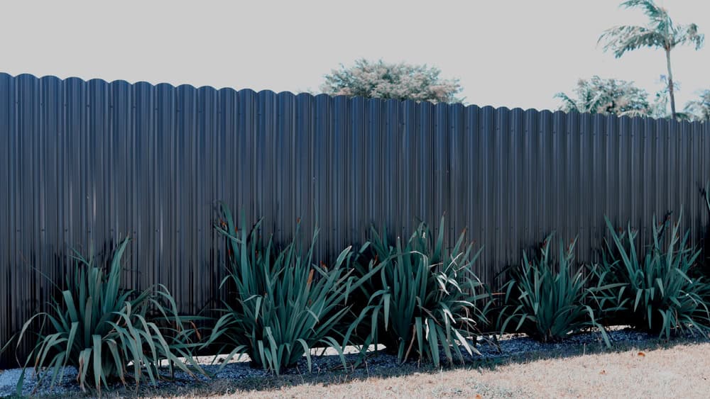 Tall metal fence with a row of spiky green plants at its base. Palm trees and shrubs are visible in the background under a clear blue sky.