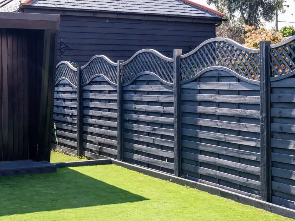 A backyard with a neatly trimmed lawn and a wooden fence. The fence features a wavy top design with lattice patterns, painted in a dark color. There's a dark-painted structure on the left and vibrant trees visible above the fence in the background.