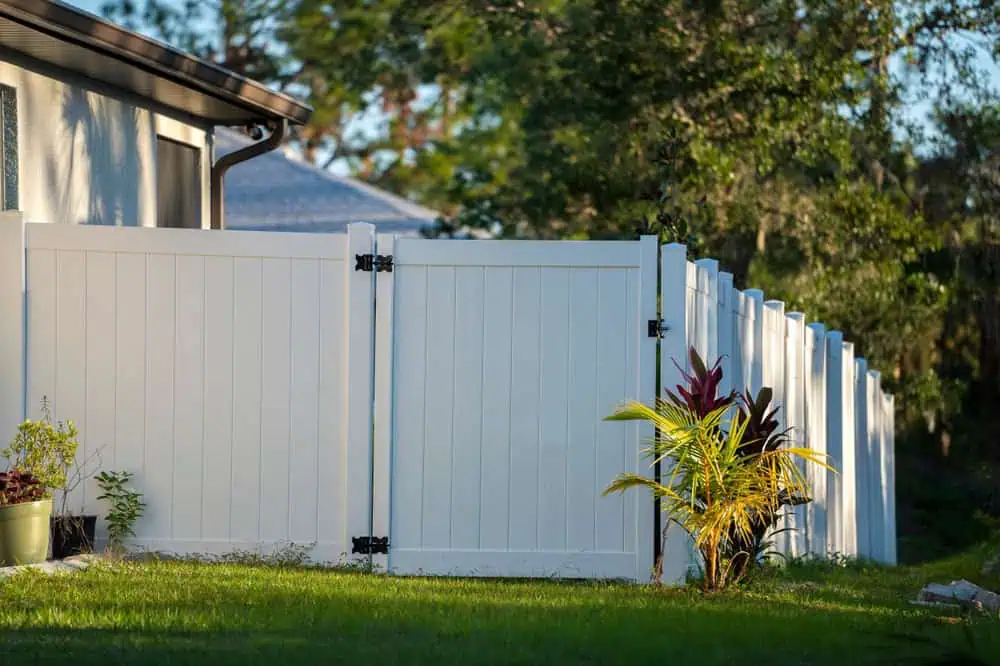 A white wooden fence with a closed gate stands in a green grassy yard. Vibrant plants with yellow and purple leaves grow near the fence. A house is partially visible on the left, and trees are in the background under a clear blue sky.